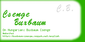 csenge buxbaum business card